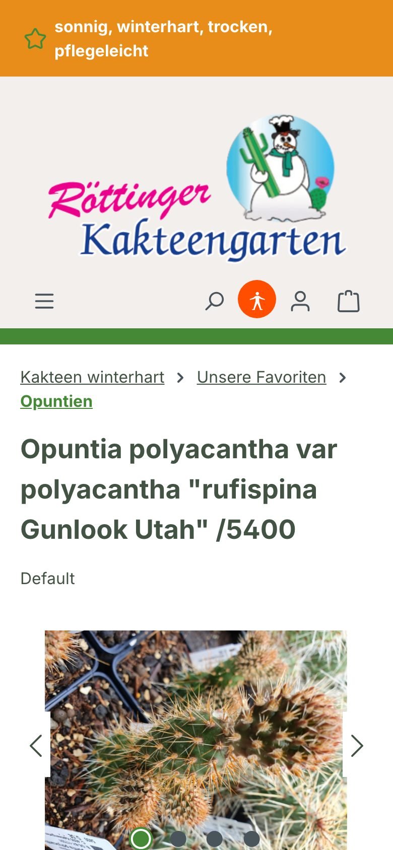 Ansicht am Telefon