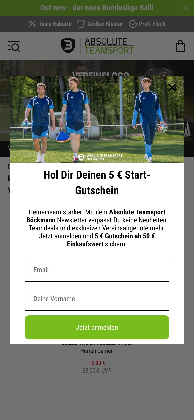 Ansicht am Telefon